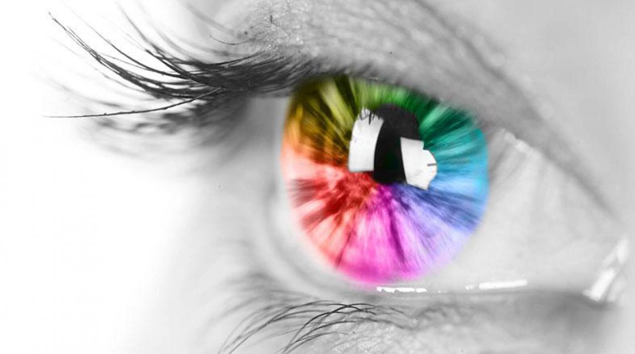 Como acontece a visão