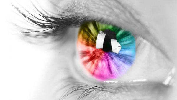 Como acontece a visão